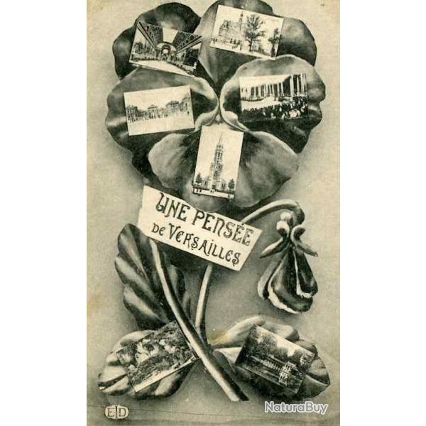 CPA 78 YVELINES Une pense de Versailles Fleur