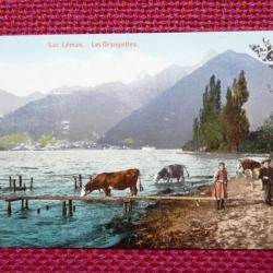 CPA Suisse Lac Léman Les Grangettes
