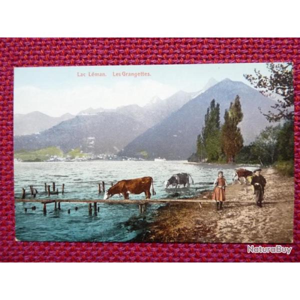 CPA Suisse Lac Lman Les Grangettes