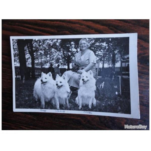 CP Photo Animaux Chien de race Concours levage 1936