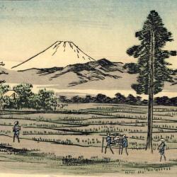 CPA Japon Japan Tokyo Paysan rizière 1912