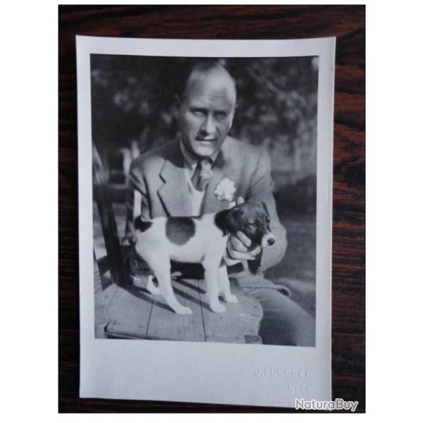 CP Photo Animaux Chien de race Concours