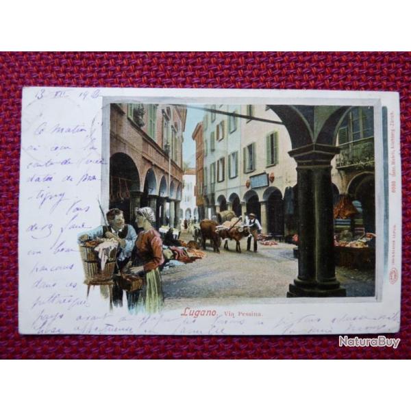 CPA Suisse Tessin Lugano Via Pessina 1904