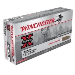 Munitions WINCHESTER 300 WSM Power Point 180gr x20