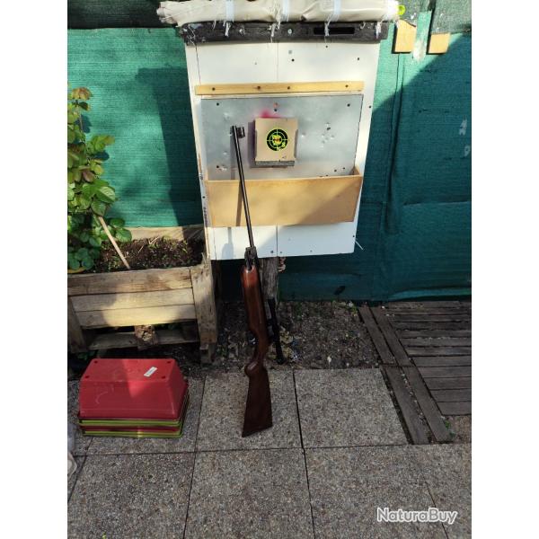 Carabine hw35 weihrauch