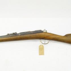 Carabine Tulle modèle 1873/M80 daté 1884 22LR