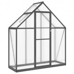 Serre tente abri plante fleur légumes avec cadre de base 169 x 58 x 195 cm aluminium anthracite 02_
