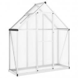 Serre tente abri plante fleur légumes avec cadre de base argent 169 x 58 x 195 cm aluminium Argent