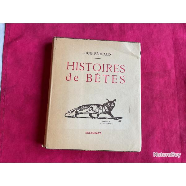 Livre ancien : Histoires de btes de Louis Pergaud
