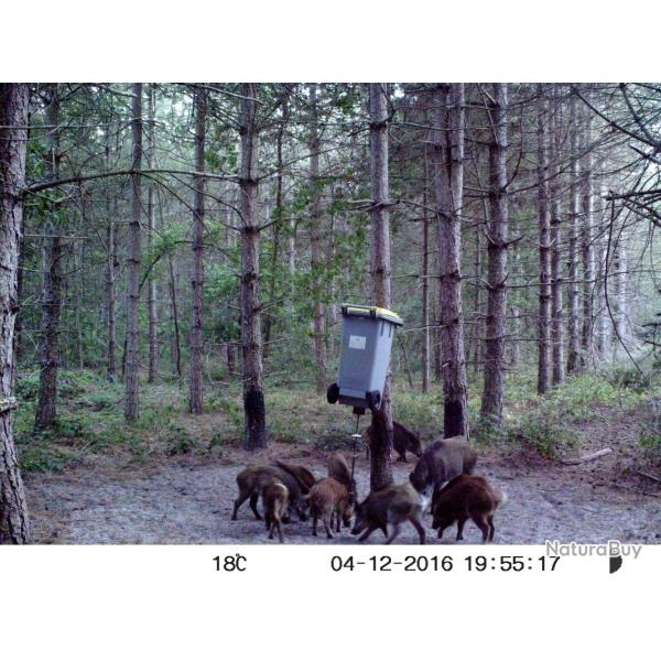 Recherche traqueurs/chiens rgion Nemours sud 77
