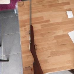 Carabine 22lr