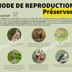 Panneau zone reproduction