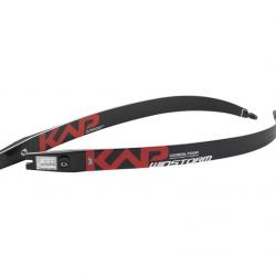 Branches KAP Winstorm Carbon 66" 26#