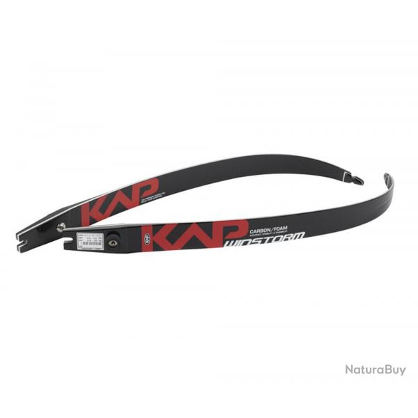 Branches KAP Winstorm Carbon 66" 26#
