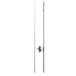 Ensemble Daiwa Carpe D-Carp 11 - 3.6m 3.0 lb + BRB 5000