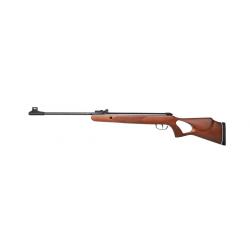 Carabine à Air Comprimé Diana Two-Fifty Calibre 4.5mm 19.9 Joules + Lunette 3-9x32