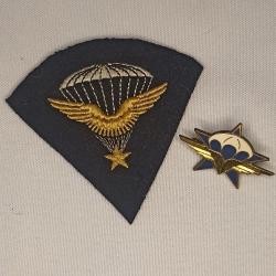 Insigne du 1er RCP model 45 para