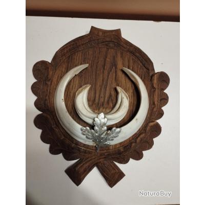 Plaque En Bois Frêne Pour Trophée De Sanglier - Bouclier 22x22 Cm, Fabrication Artisanale