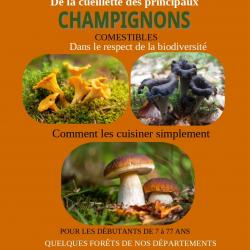 Guide écologique de la cueillette des principaux champignons comestibles