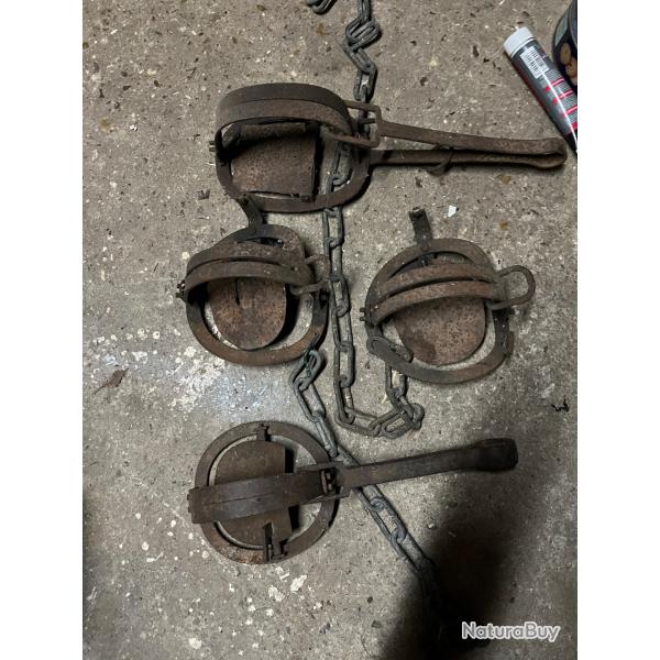 Vends 4 piges  loup ancien