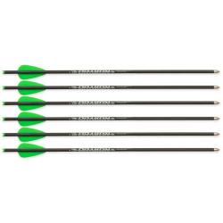 6 Flèches pour Arbalète à poulies Junxing Drakon Vert