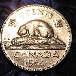 CANADA  piece de 5 cents  1964 ttb+ (castor)