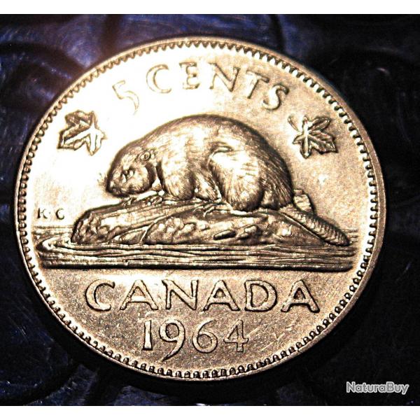 CANADA  piece de 5 cents  1964 ttb+ (castor)