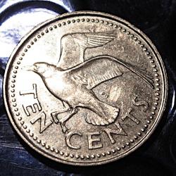Barbados  piece de 10 cents  2004 ttb+ (corbeau)