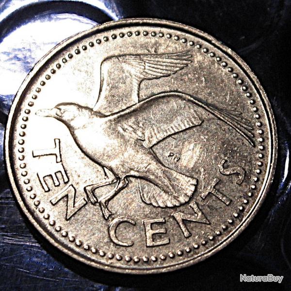 Barbados  piece de 10 cents  2004 ttb+ (corbeau)