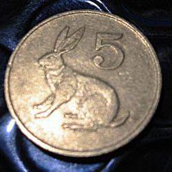 Zimbabwe  piece de 5 cents  1989 ttb  (lievre)