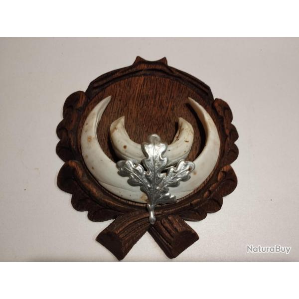 SUR ECUSSON BOIS FEUILLES DE CHNE 16X14,5CM TROPHEE SANGLIER DEFENSES BOAR JABALI