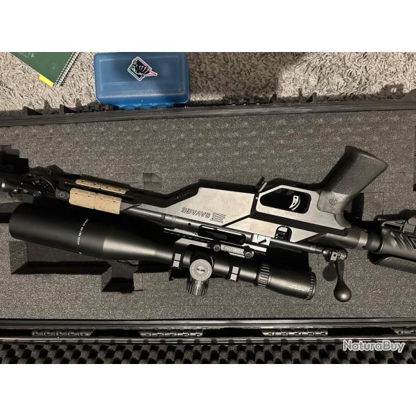 Carabine Savage 308