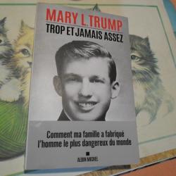 LIVRE TROP ET JAMAIS ASSEZ DE MARY L.TRUMP