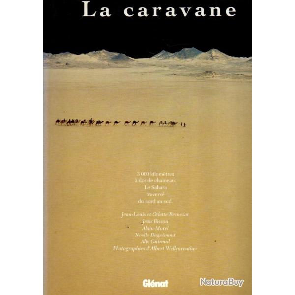 La Caravane 3000 Kilomtres  dos de chameau . Le Sahara travers du Nord Au Sud?