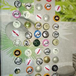 50 capsules de champagne