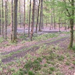 Action de chasse Alsace /Moselle