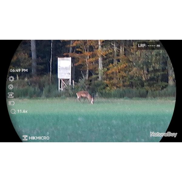 Action de chasse Alsace /Moselle