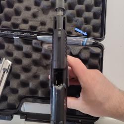 walther ppq 22lr