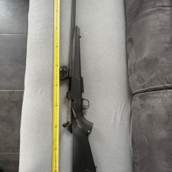 308 winchester avec point rouge
