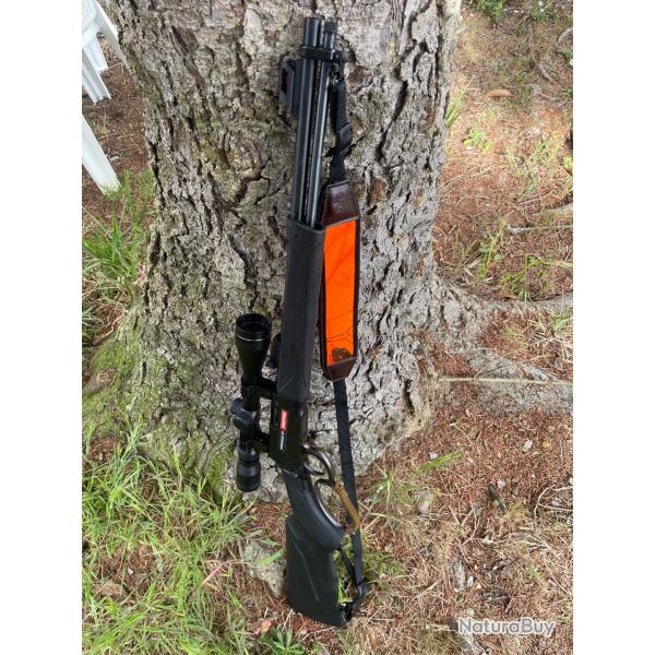 Carabine Rio Bravo 22 LR + lunette