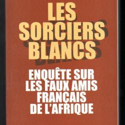 les sorciers blancs enquête sur les faux amis français de l'afrique de vincent hugeux