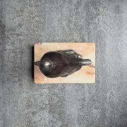 pigeon sur socle en marbre