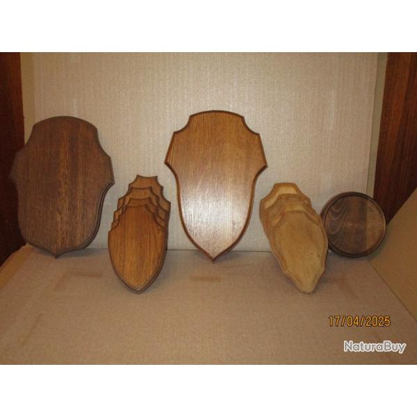 LOT 7 ECUSSONS POUR TROPHEES +1 laiton ou bronze sanglier (?)