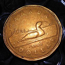 Canada piece de 1 dollar 1989 ttb Elizabeth II