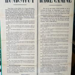 Affiche Allemande WW1 Valenciennes Cambrai Denain Rage canine ! Rare !!!