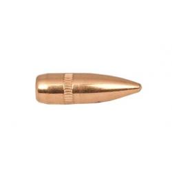 Ogives Campro Cal223 55Grs .224