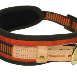 Collier chien de sang orange fluo NIGGELOH-M