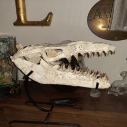 Crane de dinosaure Halisaurus