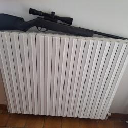 Carabine Gemo NItro 17 occasion 14 joules