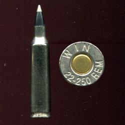 .22-250 REMINGTON - marquage : WIN 22-250 REM - balle noir pointe plastique gris - étui nickel